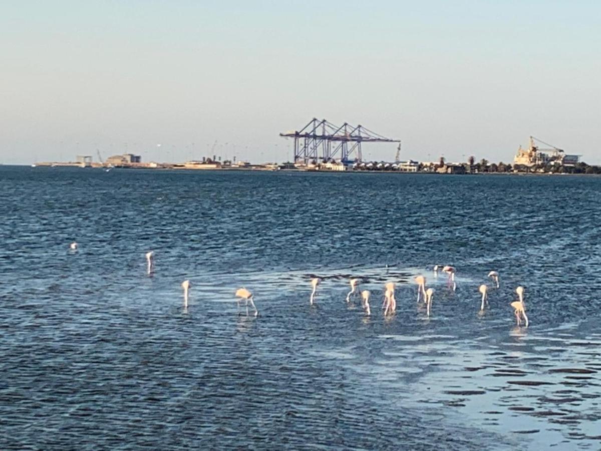 Bed and Breakfast Mukulela Walvis Bay Exterior foto
